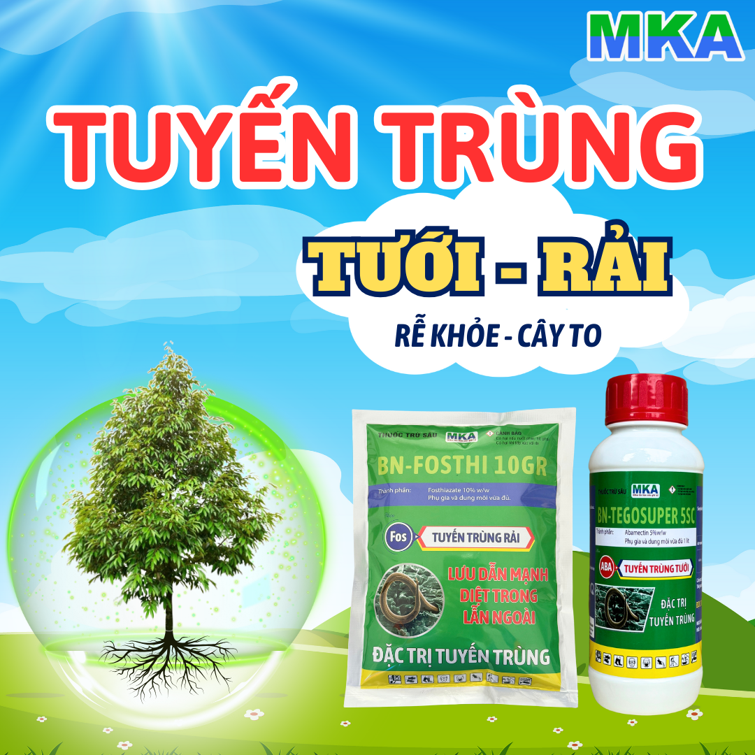Bệnh vàng lá thối rễ